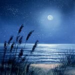 MOONLIT BEACH